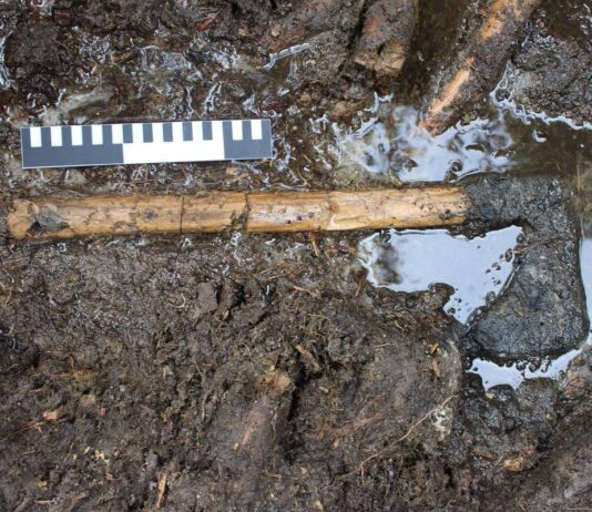 Archeolodzy po 31 latach wrócili do badań średniowiecznego stanowiska na wyspie Ledniczka Średniowieczny topór