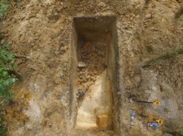 Krzyżacki zamek w Plutach powstał na terenie osady sprzed naszej ery!