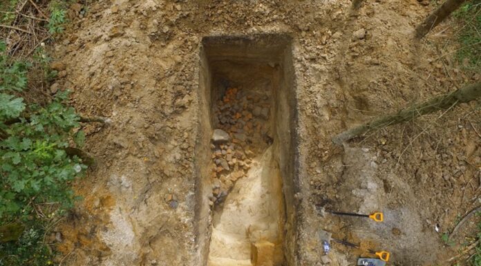 Krzyżacki zamek w Plutach powstał na terenie osady sprzed naszej ery!