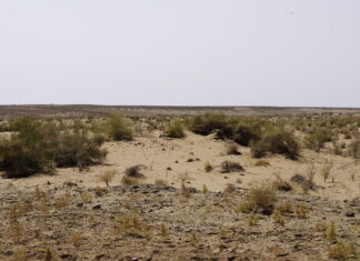 Polscy archeolodzy badają pradawny akwen na pustyni w Uzbekistanie Pustynia Kyzył-kum