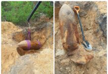 Ćwierćtonowa bomba z okresu IIWŚ znaleziona przez grzybiarza… bomba na drodze w lesie