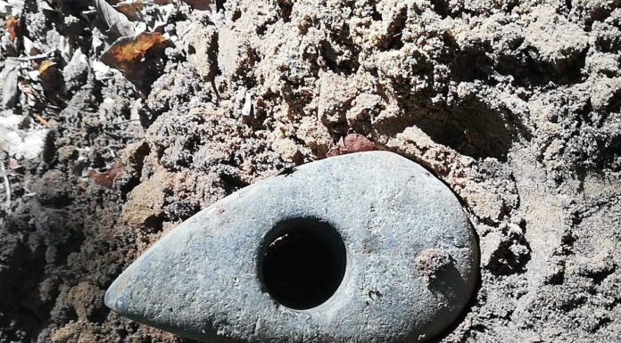 Ma nawet 5 tys. lat – wyjątkowy kamienny topór odkryty na Podkarpaciu! kamienna siekierka neolit