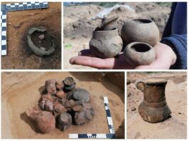 Archeologiczne eldorado… czyli kolejny sezon badań w Górzycy nad Odrą! (GALERIA) naczynia ceramiczne badania archeologiczne