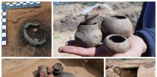 Archeologiczne eldorado… czyli kolejny sezon badań w Górzycy nad Odrą! (GALERIA) naczynia ceramiczne badania archeologiczne