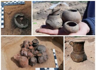 Archeologiczne eldorado… czyli kolejny sezon badań w Górzycy nad Odrą! (GALERIA) naczynia ceramiczne badania archeologiczne