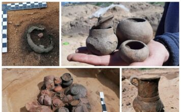 Archeologiczne eldorado… czyli kolejny sezon badań w Górzycy nad Odrą! (GALERIA) naczynia ceramiczne badania archeologiczne