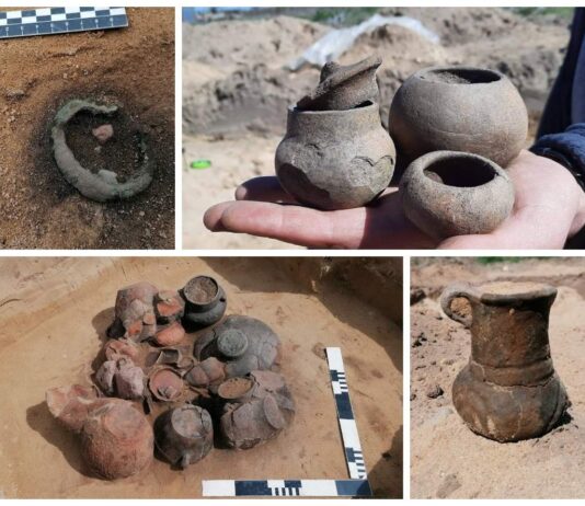Archeologiczne eldorado… czyli kolejny sezon badań w Górzycy nad Odrą! (GALERIA) naczynia ceramiczne badania archeologiczne