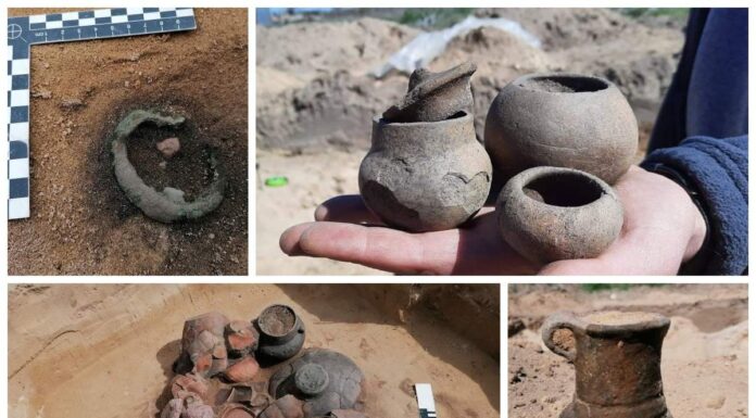 Archeologiczne eldorado… czyli kolejny sezon badań w Górzycy nad Odrą! (GALERIA) naczynia ceramiczne badania archeologiczne