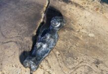 Niezwykłe artefakty i masa ceramiki – odkrycia na grodzisku w Chodliku srebrna figurka Chodlik