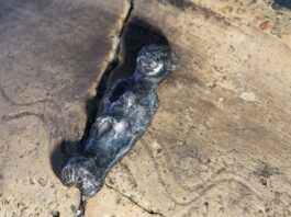 Niezwykłe artefakty i masa ceramiki – odkrycia na grodzisku w Chodliku srebrna figurka Chodlik