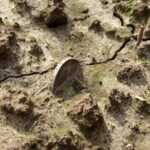 Idąc tropem jednej monety… odkryli cały skarb! (GALERIA +FILM) srebrna marka in situ