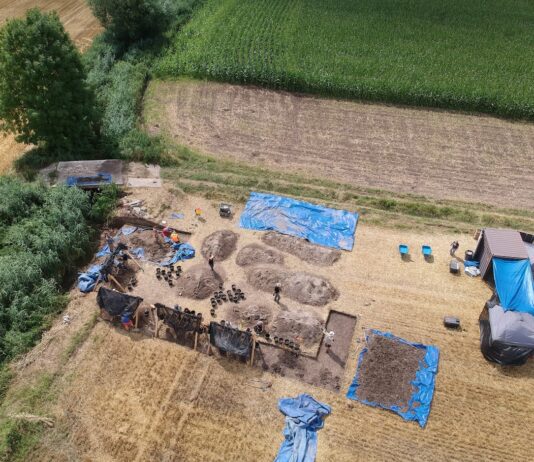 Polacy z Amerykanami szukają na Dolnym Śląsku lotników zestrzelonych w 1945 roku szukają szczątków lotników Dolny Śląsk