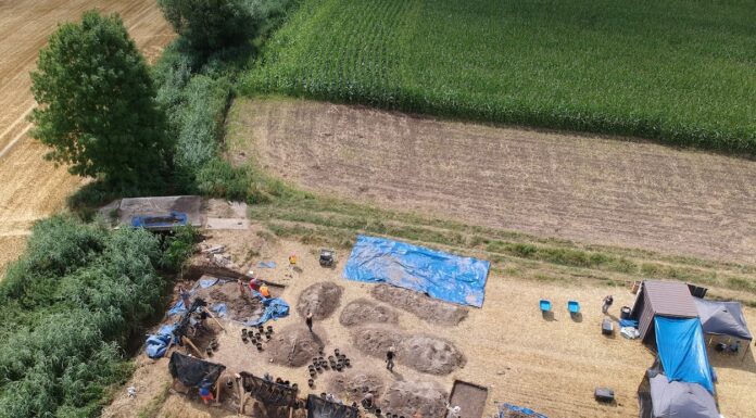 Polacy z Amerykanami szukają na Dolnym Śląsku lotników zestrzelonych w 1945 roku szukają szczątków lotników Dolny Śląsk