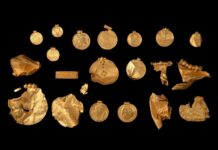 Na pierwszych poszukiwaniach z wykrywaczem znalazł blisko 1 kilo złota wikingów! złoto wikingów