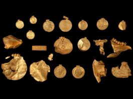 Na pierwszych poszukiwaniach z wykrywaczem znalazł blisko 1 kilo złota wikingów! złoto wikingów