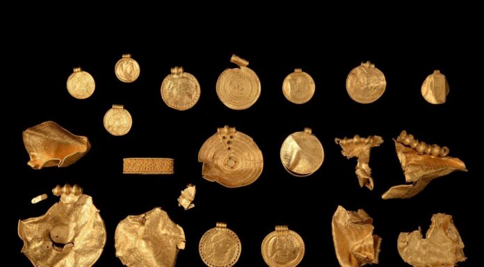 Na pierwszych poszukiwaniach z wykrywaczem znalazł blisko 1 kilo złota wikingów! złoto wikingów