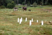 Kurhany i nie tylko odkryto na Wzgórzu Wisielców w Wolinie Wzgórze Wisielców w Wolinie