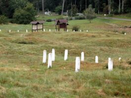 Kurhany i nie tylko odkryto na Wzgórzu Wisielców w Wolinie Wzgórze Wisielców w Wolinie