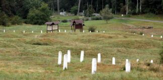 Kurhany i nie tylko odkryto na Wzgórzu Wisielców w Wolinie Wzgórze Wisielców w Wolinie