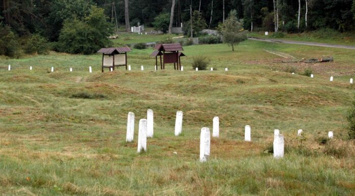 Kurhany i nie tylko odkryto na Wzgórzu Wisielców w Wolinie Wzgórze Wisielców w Wolinie