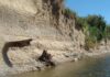 Odkrycie amatora na brzegu rzeki San ma 11000 lat! (GALERIA) Nawarstwienia geologiczne na brzegu rzeki San