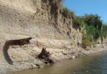 Odkrycie amatora na brzegu rzeki San ma 11000 lat! (GALERIA) Nawarstwienia geologiczne na brzegu rzeki San