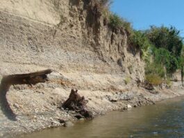 Odkrycie amatora na brzegu rzeki San ma 11000 lat! (GALERIA) Nawarstwienia geologiczne na brzegu rzeki San