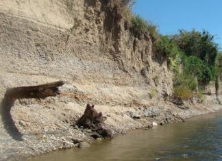 Odkrycie amatora na brzegu rzeki San ma 11000 lat! (GALERIA) Nawarstwienia geologiczne na brzegu rzeki San