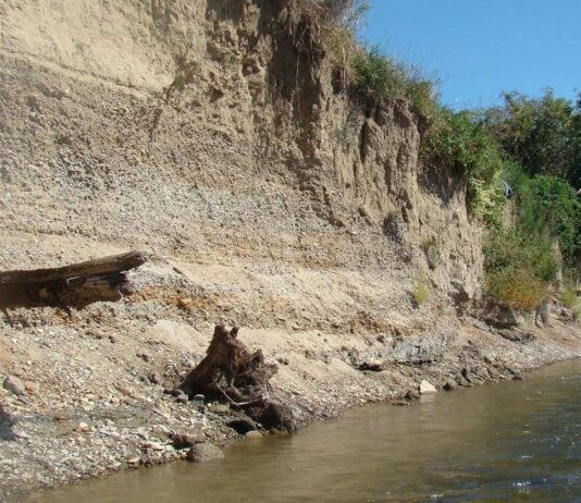 Odkrycie amatora na brzegu rzeki San ma 11000 lat! (GALERIA) Nawarstwienia geologiczne na brzegu rzeki San