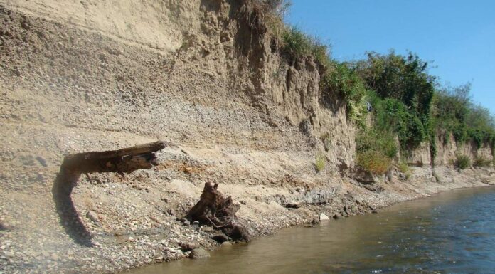 Odkrycie amatora na brzegu rzeki San ma 11000 lat! (GALERIA) Nawarstwienia geologiczne na brzegu rzeki San