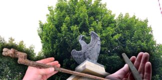 Szukając orła z pomnika odkryli artefakt sprzed kilku tysięcy lat! (GALERIA +FILM) Orzeł z pomnika w Czarkowych i artefakty