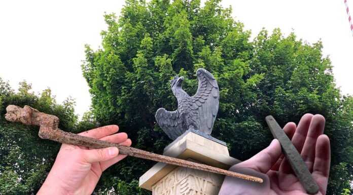 Szukając orła z pomnika odkryli artefakt sprzed kilku tysięcy lat! (GALERIA +FILM) Orzeł z pomnika w Czarkowych i artefakty