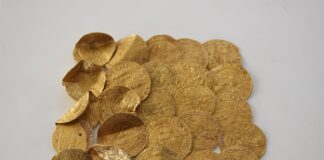 25 złotych monet odkryte wśród ziemniaków… skarb znaleziony w Holandii (GALERIA) Skarb złotych monet odkryty w Holandii