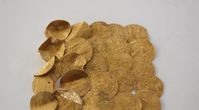 25 złotych monet odkryte wśród ziemniaków… skarb znaleziony w Holandii (GALERIA) Skarb złotych monet odkryty w Holandii