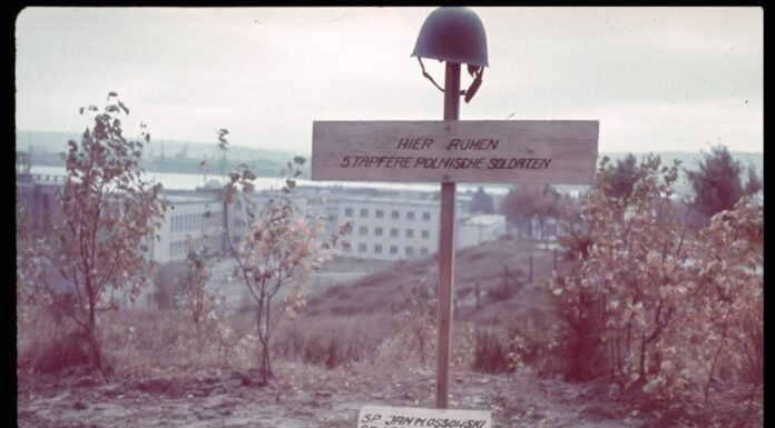 „TUTAJ SPOCZYWA 5 ODWAŻNYCH POLSKICH ŻOŁNIERZY” – głosi niemiecki napis na krzyżu Krzyż postawiony na miejscu Bitwy o Kępę Oksywską