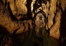 Tarnowskie Góry – srebro i ołów wydobywano tu już w IX wieku! Kopalnia Srebra w Tarnowskich Górach