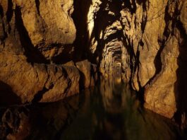 Tarnowskie Góry – srebro i ołów wydobywano tu już w IX wieku! Kopalnia Srebra w Tarnowskich Górach