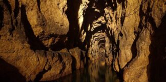 Tarnowskie Góry – srebro i ołów wydobywano tu już w IX wieku! Kopalnia Srebra w Tarnowskich Górach