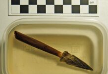 Znalezisko na skalę międzynarodową! Grot z drzewcem odkryty przez pasjonatów grot i drzewiec strzaly