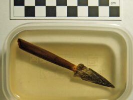 Znalezisko na skalę międzynarodową! Grot z drzewcem odkryty przez pasjonatów grot i drzewiec strzaly