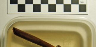 Znalezisko na skalę międzynarodową! Grot z drzewcem odkryty przez pasjonatów grot i drzewiec strzaly