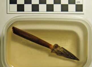 Znalezisko na skalę międzynarodową! Grot z drzewcem odkryty przez pasjonatów grot i drzewiec strzaly