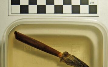 Znalezisko na skalę międzynarodową! Grot z drzewcem odkryty przez pasjonatów grot i drzewiec strzaly