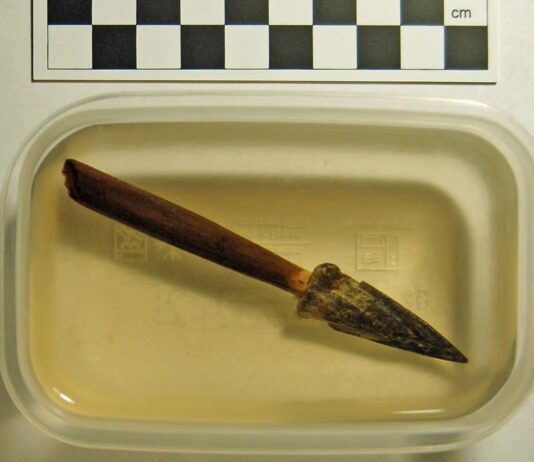 Znalezisko na skalę międzynarodową! Grot z drzewcem odkryty przez pasjonatów grot i drzewiec strzaly