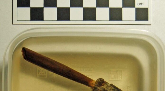 Znalezisko na skalę międzynarodową! Grot z drzewcem odkryty przez pasjonatów grot i drzewiec strzaly