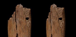 Jedna z najstarszych znanych ozdób została odkryta w Jaskini Stajnia na Jurze ozdoba Jaskinia Stajnia