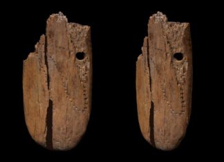 Jedna z najstarszych znanych ozdób została odkryta w Jaskini Stajnia na Jurze ozdoba Jaskinia Stajnia