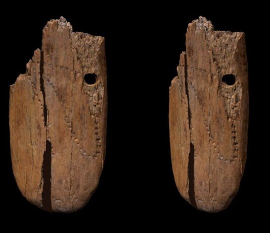 Jedna z najstarszych znanych ozdób została odkryta w Jaskini Stajnia na Jurze ozdoba Jaskinia Stajnia