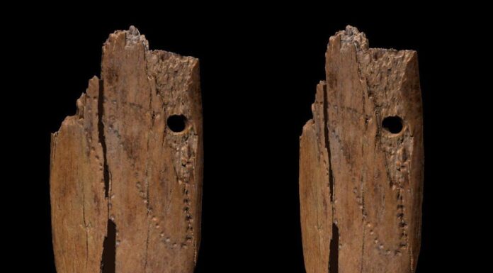 Jedna z najstarszych znanych ozdób została odkryta w Jaskini Stajnia na Jurze ozdoba Jaskinia Stajnia