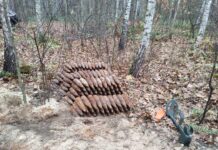 Saperzy z Kielc zabezpieczyli mały arsenał – ponad 500 przedmiotów z IIWŚ pociski w lesie